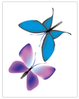 Butterflies - Illustration