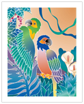 Parrots - Illustration