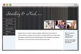 Steidley & Neal - Website